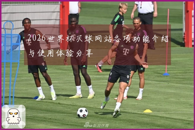 2026世界杯买球网站各项功能介绍与使用体验分享