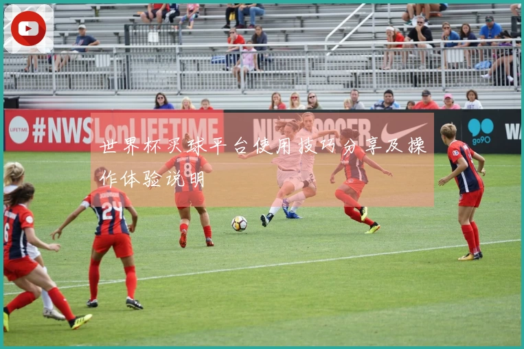 世界杯买球平台使用技巧分享及操作体验说明