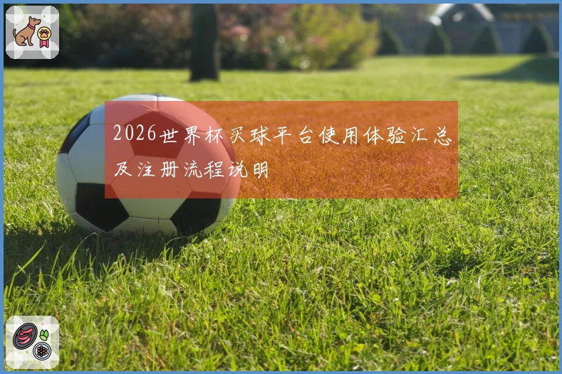 2026世界杯买球平台使用体验汇总及注册流程说明