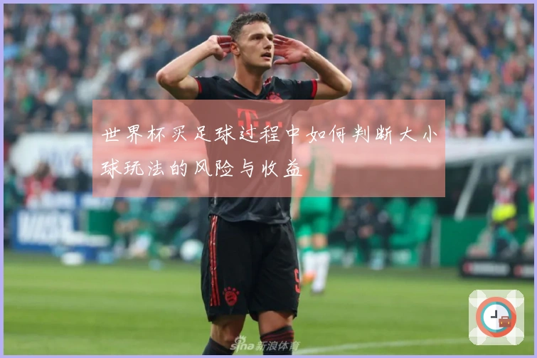 世界杯买足球过程中如何判断大小球玩法的风险与收益