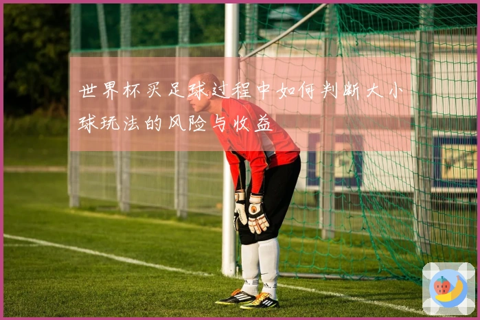 世界杯买足球过程中如何判断大小球玩法的风险与收益