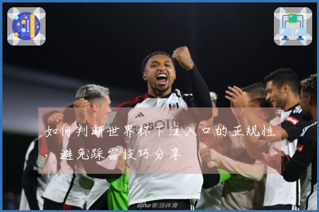 如何判断世界杯下注入口的正规性，避免踩雷技巧分享