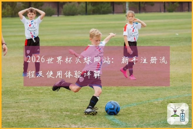 2026世界杯买球网站：新手注册流程及使用体验详解