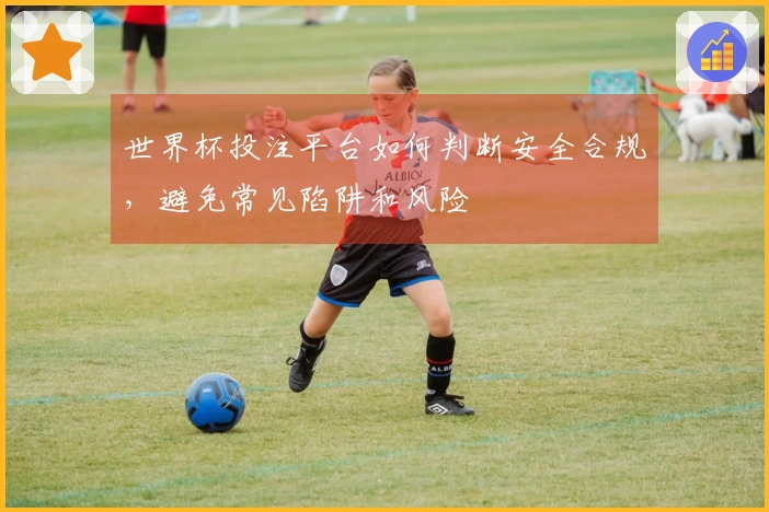 世界杯投注平台如何判断安全合规，避免常见陷阱和风险