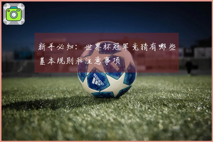 新手必知：世界杯冠军竞猜有哪些基本规则和注意事项