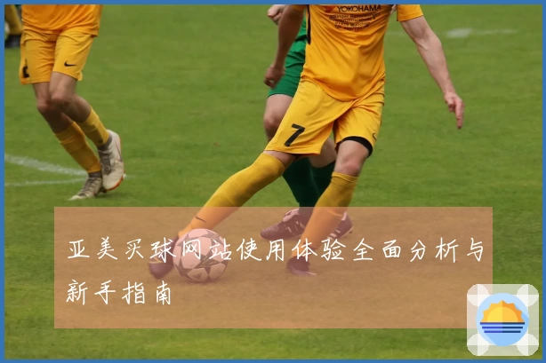 亚美买球网站使用体验全面分析与新手指南