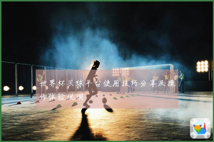 世界杯买球平台使用技巧分享及操作体验说明