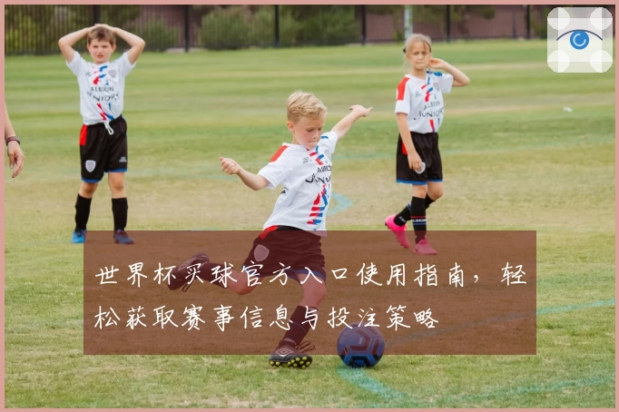 世界杯买球官方入口使用指南，轻松获取赛事信息与投注策略