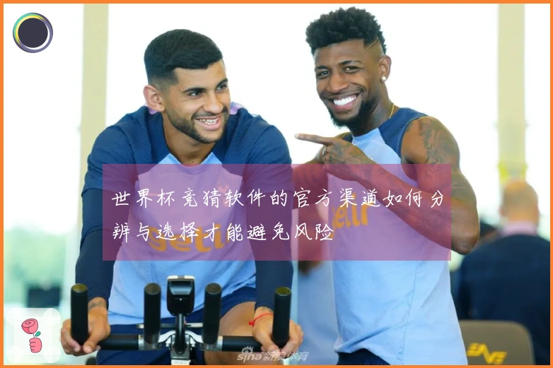 世界杯竞猜软件的官方渠道如何分辨与选择才能避免风险