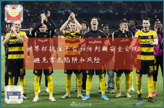 世界杯投注平台如何判断安全合规，避免常见陷阱和风险