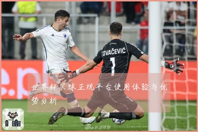 世界杯买球正规平台使用体验与优势分析