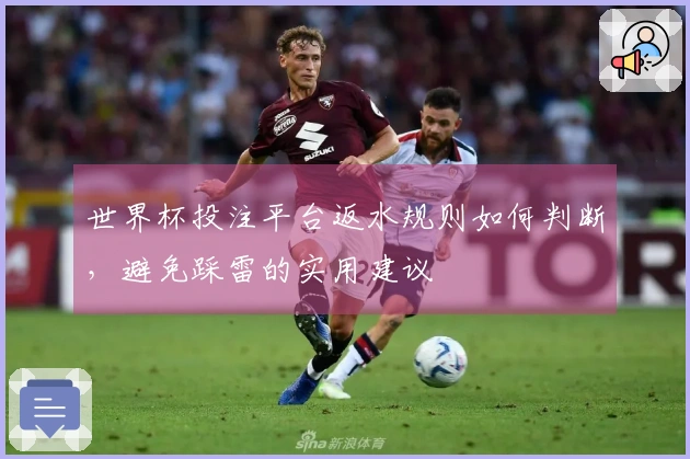世界杯投注平台返水规则如何判断，避免踩雷的实用建议