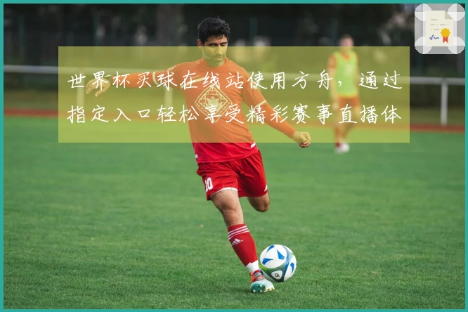 世界杯买球在线站使用方舟，通过指定入口轻松享受精彩赛事直播体验