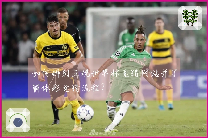 如何辨别正规世界杯竞猜网站并了解体彩竞猜流程？