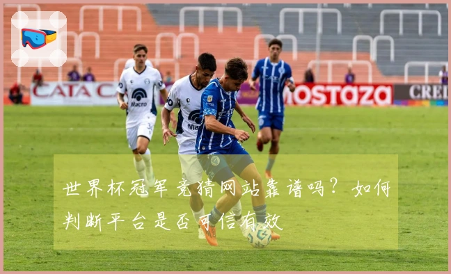 世界杯冠军竞猜网站靠谱吗？如何判断平台是否可信有效