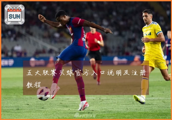 五大联赛买球官方入口说明及注册教程